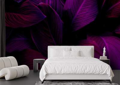 Full Frame of Purple Leaves Texture Background. tropical leaf Wall mural