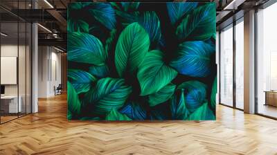 leaves of Spathiphyllum cannifolium, abstract green texture, nature background, tropical leaf Wall mural