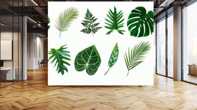 set of green monstera palm and tropical plant leaf isolated on white background for design elements, Flat lay Wall mural