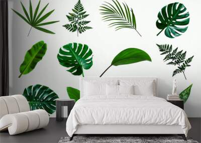 set of green monstera palm and tropical plant leaf on  white background for design elements, Flat lay Wall mural