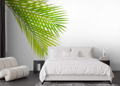 tropical coconut palm leaf isolated on white background, summer background Wall mural