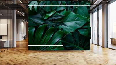 tropical green leaves with white frame, nature flat lay concept Wall mural