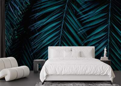 tropical green palm leaf and shadow, abstract natural background, dark tone Wall mural