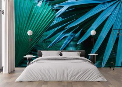 tropical palm leaf and shadow, abstract natural green background, dark blue tone Wall mural