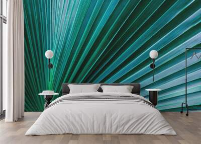 tropical palm leaf and shadow, abstract natural green background Wall mural