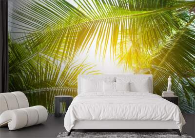 tropical palm leaf background, coconut palm trees perspective view Wall mural