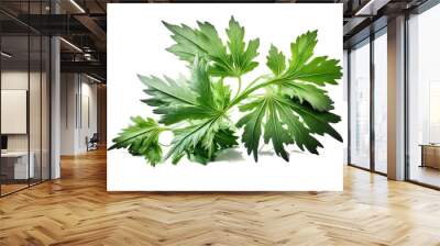 Fresh green organic lovage leaves, transparent image without background, isolated, created with Generative AI Wall mural