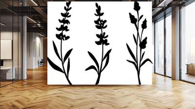 Lavender flowers. Black silhouettes of lavender flowers isolated on a white background. Branches of lavender. Set of vector illustrations Wall mural