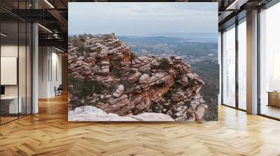 Endless panorama from unusual pink rocks Wall mural