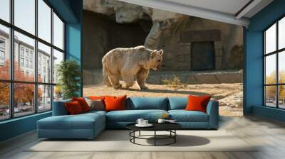 brown bear Wall mural