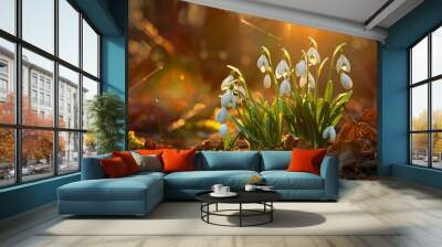 white snowdrop flowers in spring Wall mural