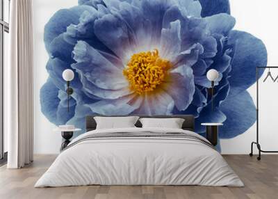 blue peony flower isolated on  a white  background with clipping path  no shadows. Closeup.  Nature. Wall mural