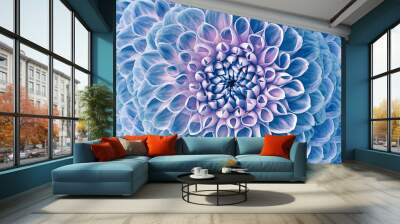 Dahlia blue flower.  Macro. Motley big flower. Background from a flower. Nature. Wall mural