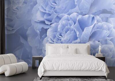 floral blue beautiful background. flower composition. bouquet of flowers from light blue roses. clos Wall mural