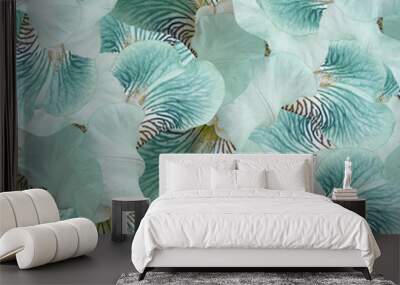 Floral  light blue beautiful background.  Flower composition.  flowers irises  closeup. Nature. Wall mural