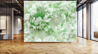 Green peonies flowers and petals. Spring floral background.  Nature. Wall mural