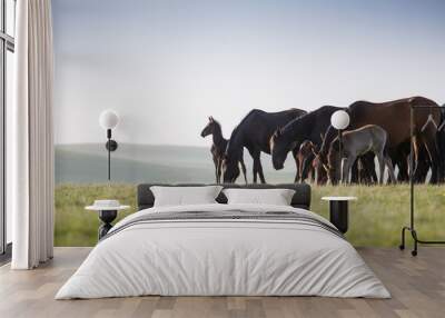 Horses in the mountains Wall mural