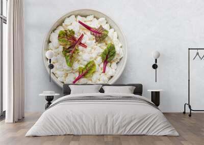 Natural cottage cheese  with fresh chard in bowl isolated on light background, top view with copy space Wall mural