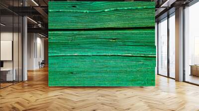 Old wooden wall.Green abstract background. Wall mural