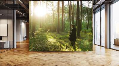 young man in a black jacket is walking in a pine forest on sunrise. Wall mural