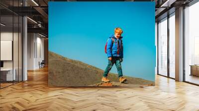 little boy with backpack hiking in mountains Wall mural