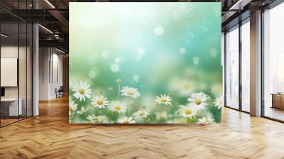  a field full of white daisies with boke of light coming from the top of one of the daisies. Wall mural