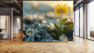   A solitary yellow bloom atop an ice-coated rock pile, sunlit backdrop Wall mural