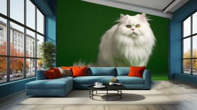  a white fluffy cat sitting on top of a green surface.  generative ai Wall mural