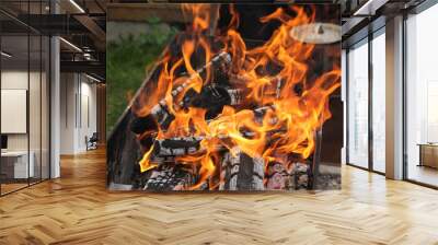 Fire, coals in mangal in the dacha, country. Grill. Green lawn, house. Background image, copy space Wall mural