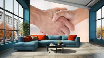 Closeup, shaking hands and people meeting for introduction, agreement and support of deal, partnership and welcome. Handshake for greeting hello, thank you and networking with trust, success and team Wall mural