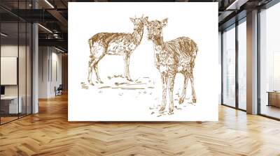 Two young deer in sketch style. Hand drawn illustration of a beautiful black and white animal. Wall mural