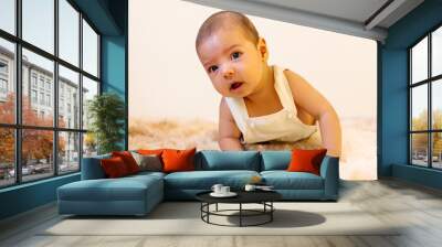 Two-month-old baby boy lying face down on furry rug Wall mural