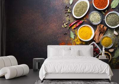 Set of Various spices on dark stone table. Wall mural