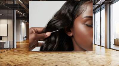 close-up of black woman having her hair styled with a lace frontal wig while an African American stylist applies lip gloss with a silver brush, isolated on a white background Wall mural