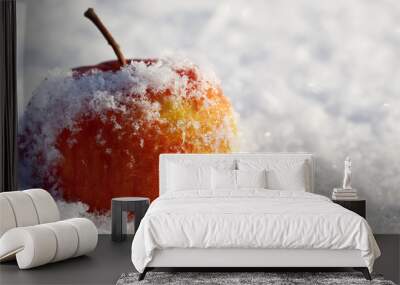 apple in to snow Wall mural