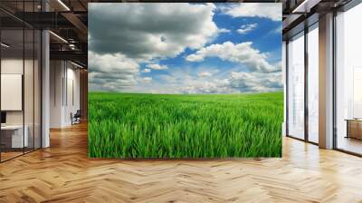 green grass and blue sky Wall mural