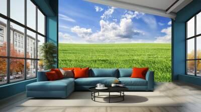 green grass and blue sky Wall mural