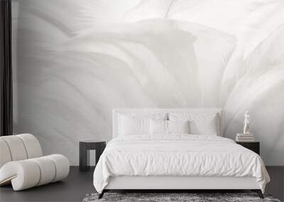  white feather wooly pattern texture background Wall mural