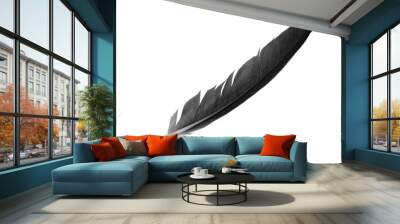 Beautiful black feather isolated on white background Wall mural