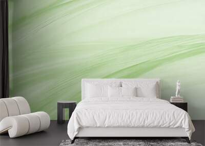 Beautiful feather color light green pattern texture background Wall mural