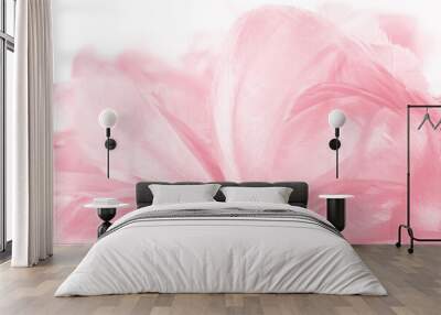 Beautiful light pink feather pattern texture background Wall mural