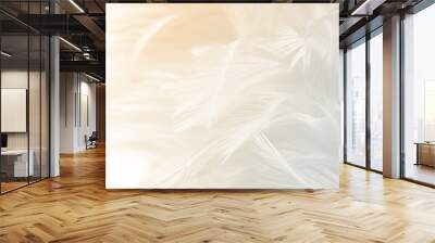 Beautiful white feather pattern texture background with Orange light Wall mural