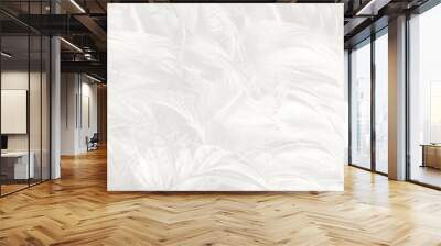 Beautiful white feather wooly pattern texture background Wall mural