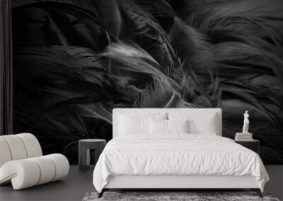 blur feather wool dark black with light abstract background Wall mural