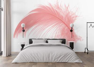 coral pink feather on white background Wall mural