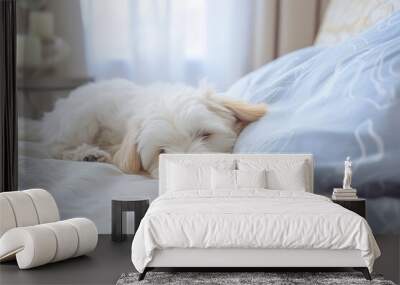 a small white dog is sleeping on a bed with a blue pillow Wall mural