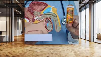 Doctor holds tablets for treatment of male diseases and prostatitis Wall mural