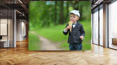 young boy in the park Wall mural