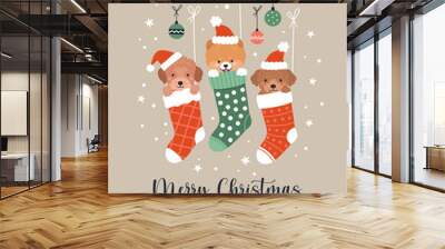 Christmas greeting card.  Vector cartoon illustration with three cute cartoon puppies in Christmas socks. Small dogs in Santa hats. Isolated on background Wall mural