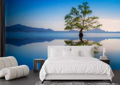 Beautiful scenery of a lone mangrove tree with reflections Wall mural